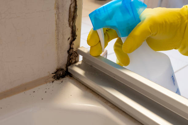 Best Affordable Mold Removal  in Roberts, WI
