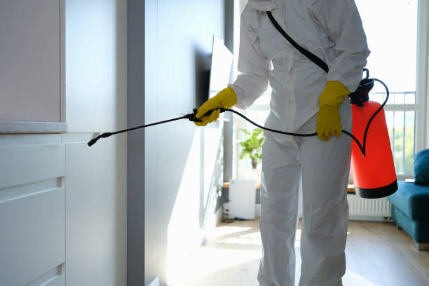 Best Mold Cleaning Services  in Roberts, WI