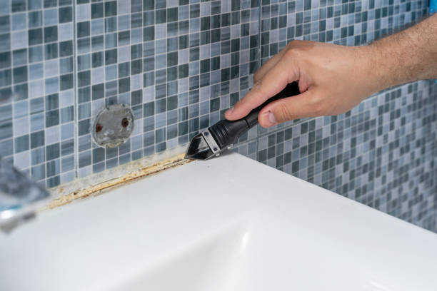 Best Black Mold Removal  in Roberts, WI