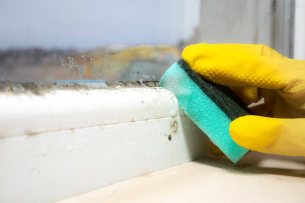 Roberts, WI Mold Removal Company