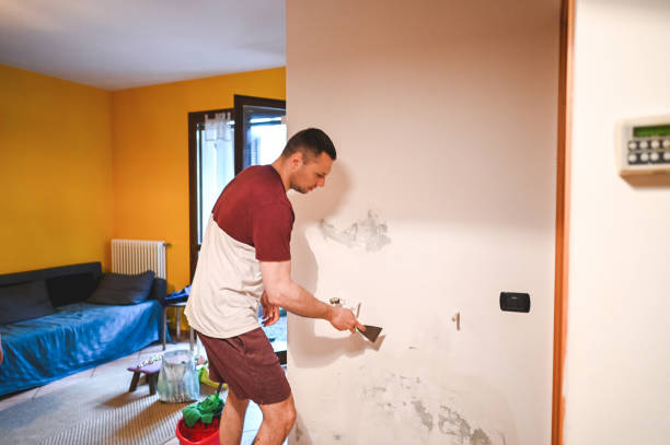Best Fast Mold Removal  in Roberts, WI